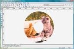 Nero CoverDesigner 2018.19.1.1011 à télécharger Nero CoverDesigner 2018.19.1.1011