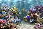 Aquarium 3D à télécharger Aquarium 3D