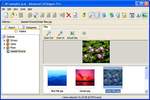 Advanced CATaloguer Pro à télécharger Advanced CATaloguer Pro