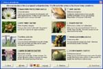 Cactus Emulator para descargar Cactus Emulator