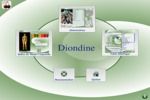 Diondine PC version 6 à télécharger Diondine PC version 6