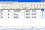 Advanced Time Reports Professional para descargar Advanced Time Reports Professional