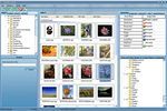 Cushy Stock to download Cushy Stock