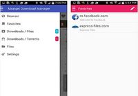 TÉLÉCHARGER GRATUITEMENT ILIVID DOWNLOAD MANAGER GRATUIT