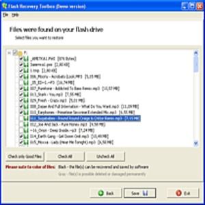 flobo hard disk repair free download full version