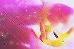 nfsPinkDreamAWWallpaper para descargar nfsPinkDreamAWWallpaper