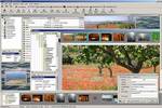 CodedColor PhotoStudio to download CodedColor PhotoStudio
