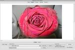 Wallpaperio iPhone Maker for Mac to download Wallpaperio iPhone Maker for Mac