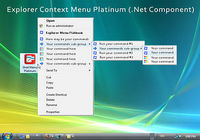 Explorer Context Menu Platinum (.Net Component)