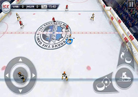 Hockey Sur Glace 3D