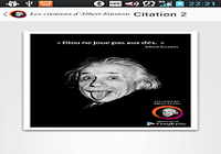 Albert Einstein Citations