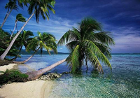 dArt Tropical Islands vol.1