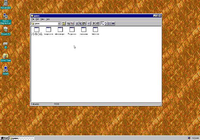 Windows 95 Linux