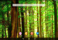 XPERIA™ Forest