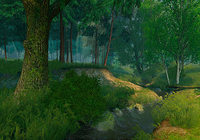 Summer Forest 3D Screensaver