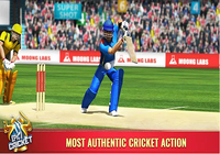 Epic Cricket Big League Game Android