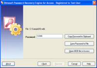 Password Recovery Engine for Access