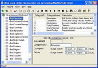 DTM Data Editor