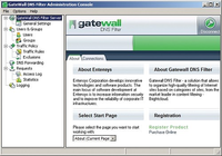 GateWall DNS Filter
