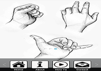 Comment dessiner les mains