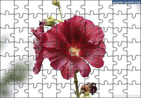 Puzzle Fleur