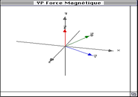 YP Force Magnétique