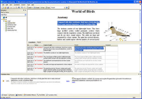 Excitic Website Localization Tool