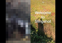 Slingshot iOS