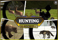 La chasse des animaux d jungle
