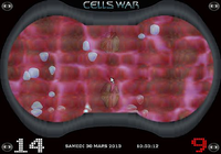 CELLS WAR