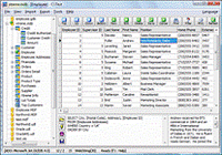 xBaseView Database Explorer