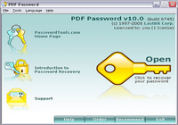 PDF password