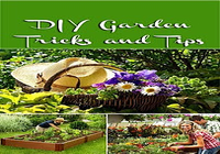 DIY Gardening Tips