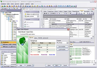 EMS PostgreSQL Manager Professional for Windows