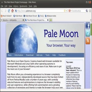 pale moon for linux pale moon for linux