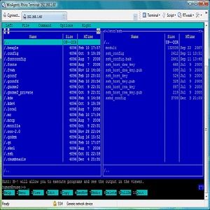windows terminal emulator mouse support