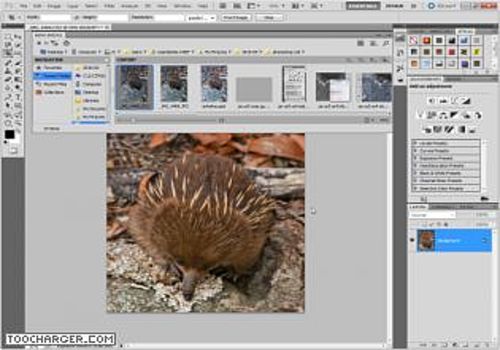 TÉLÉCHARGER FILTRE ARTISTIQUE PHOTOSHOP CS6 GRATUITEMENT PHOTOSHOP GRATUITEMENT CS6 FILTRE TÉLÉCHARGER ARTISTIQUE