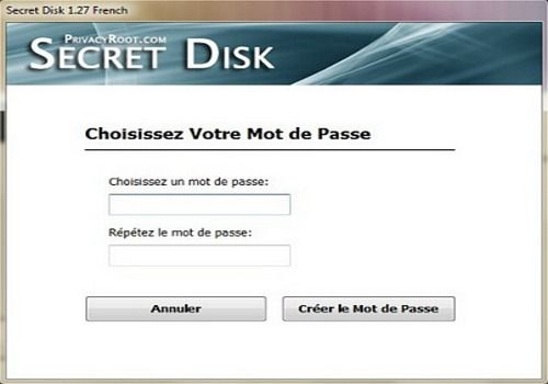 download Secret Disk Professional 2023