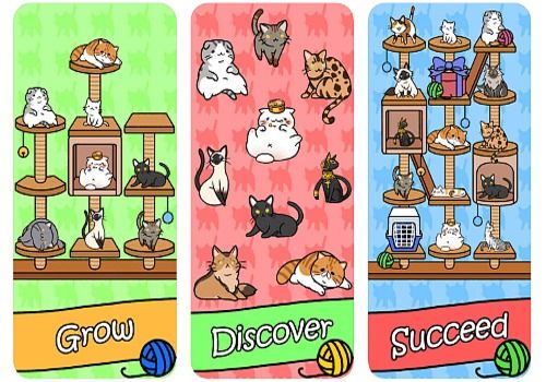download the new for ios Cat Condo
