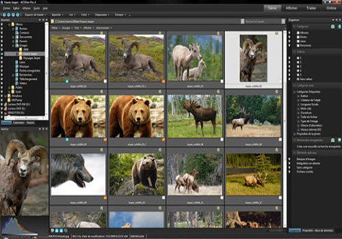 Acdsee photo manager что это